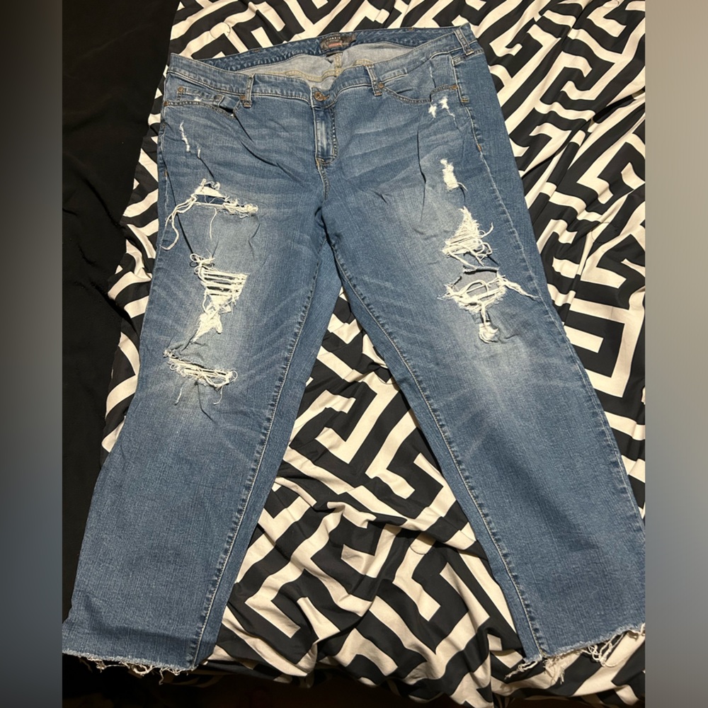 TORRID SZ 24 Women's Distressed Blue Jean crops